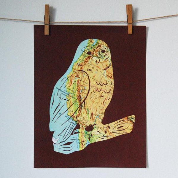 "West Coast Owl" Print