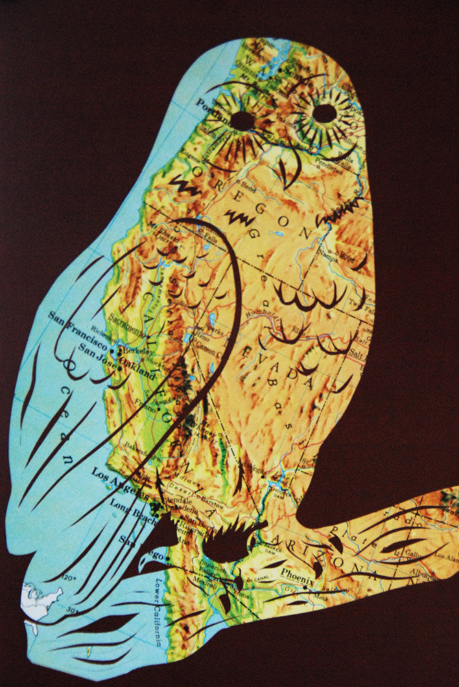 "West Coast Owl" Print