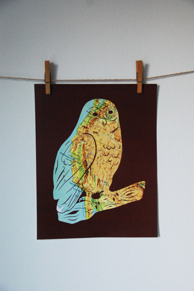 "West Coast Owl" Print