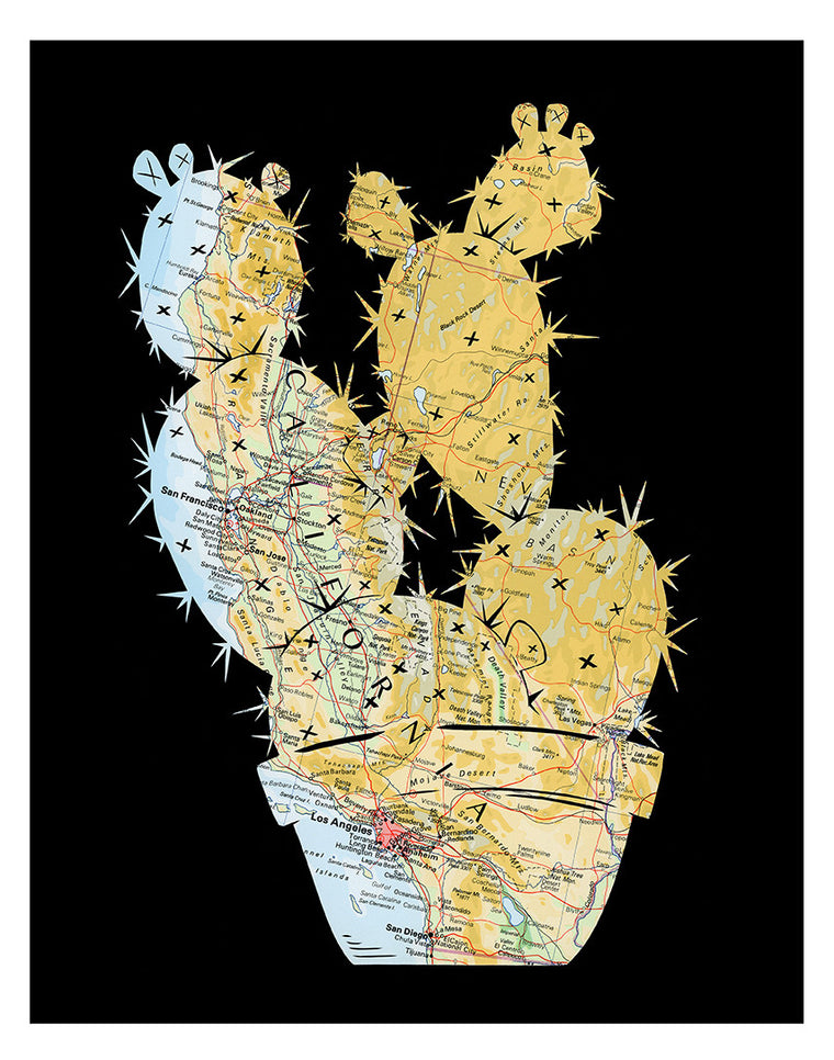 California Cactus Prickly Pear Artwork by Granny Panty Designs